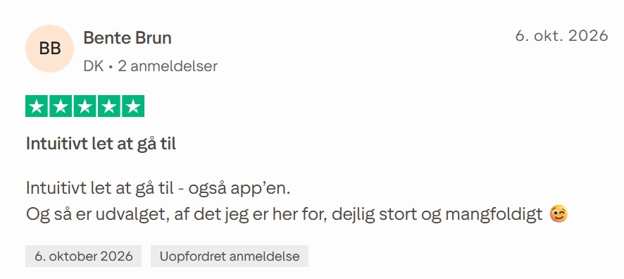 Endnu et eksempel på en positiv Trustpilot-anmeldelse af Dating.dk
