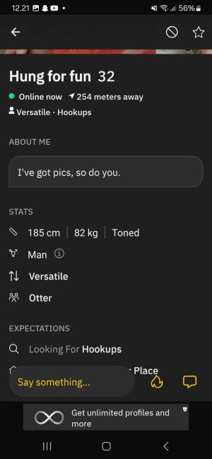 Eksempler på nogle af de informationer du kan give på grindr